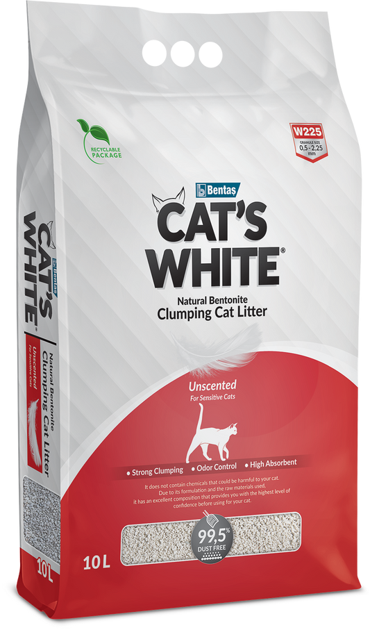 CAT'S WHITE Natural