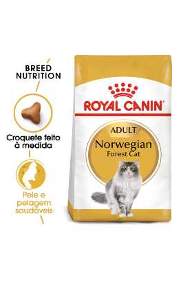 Royal Canin Norwegian Forest Adult
